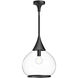 Alora Mood Hazel 1 Light 14.13 inch Matte Black Pendant Ceiling Light in Clear