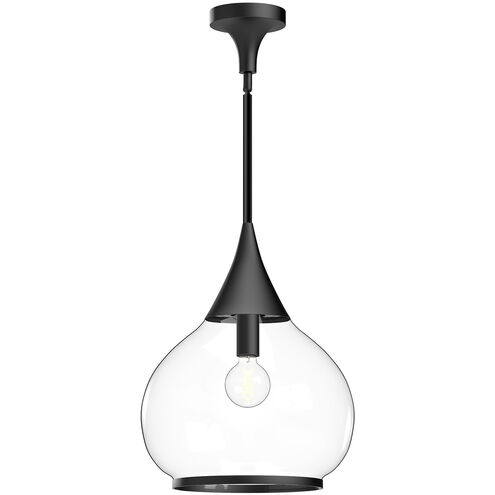 Alora Mood Hazel 1 Light 14.13 inch Matte Black Pendant Ceiling Light in Clear