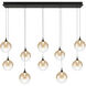 Iissa 10 Light 15.5 inch Black Chandelier Ceiling Light in Amber