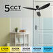 Banks 52 inch Black Ceiling Fan in Remote Control
