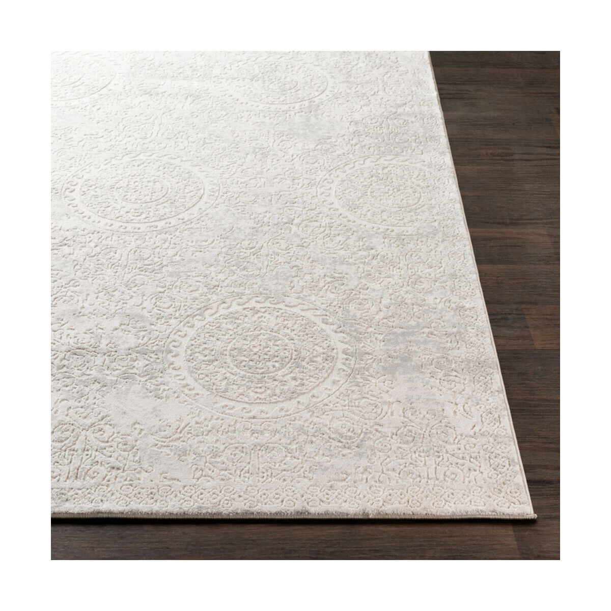 Ainsley 36 X 24 inch Light Gray Rug, Rectangle