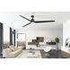 TriAire Custom Black Fan Motor in 3