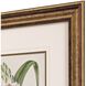 Florals Collection Green Framed Art