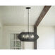 Lisa McDennon Open Air Luca 5 Light 28 inch Black Outdoor Hanging