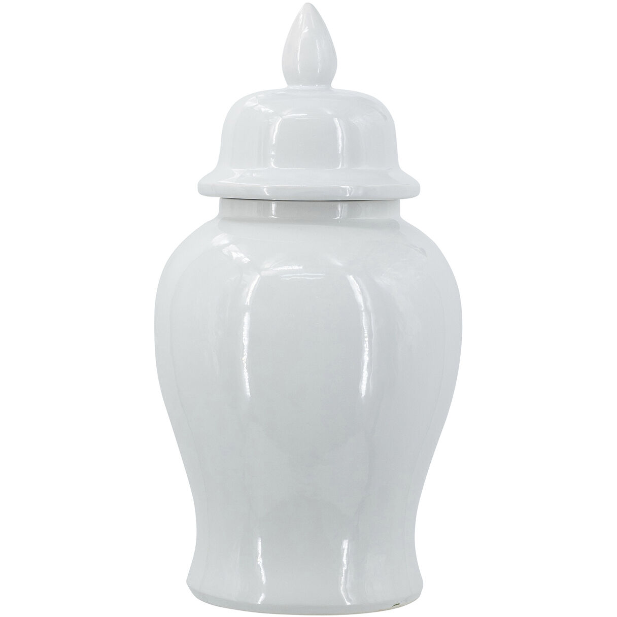 Anita 18.90 inch  X 9.40 inch Decorative Jar & Canister