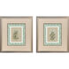 Green Botanical Green and Brown and Beige and Multi Framed Art, Propac