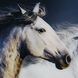 Horses White Wall Art