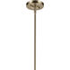 Laria 1 Light Champagne Bronze Pendant Ceiling Light in Opal