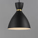 Carillon 1 Light 10.5 inch Black and Satin Brass Mini Pendant Ceiling Light