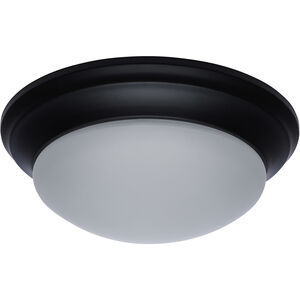 Brentwood LED 14 inch Matte Black Flush Mount Ceiling Light
