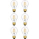 Raedyn LED A19 San'an LED E26 6 watt 120V 3000K LED Light Bulb, Pack of 6