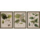 Florals Collection Green Framed Art