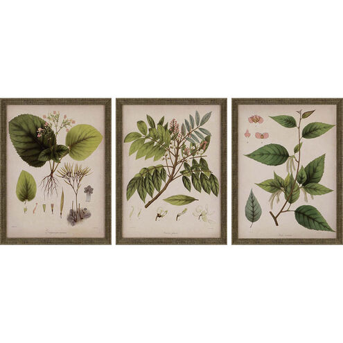 Florals Collection Green Framed Art
