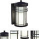 Evelyn 1 Light 8 inch Golden Black Wall Sconce Wall Light