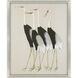 Birds of a Feather / Flock Together Multi and Neutral and Black and Gray Framed Art