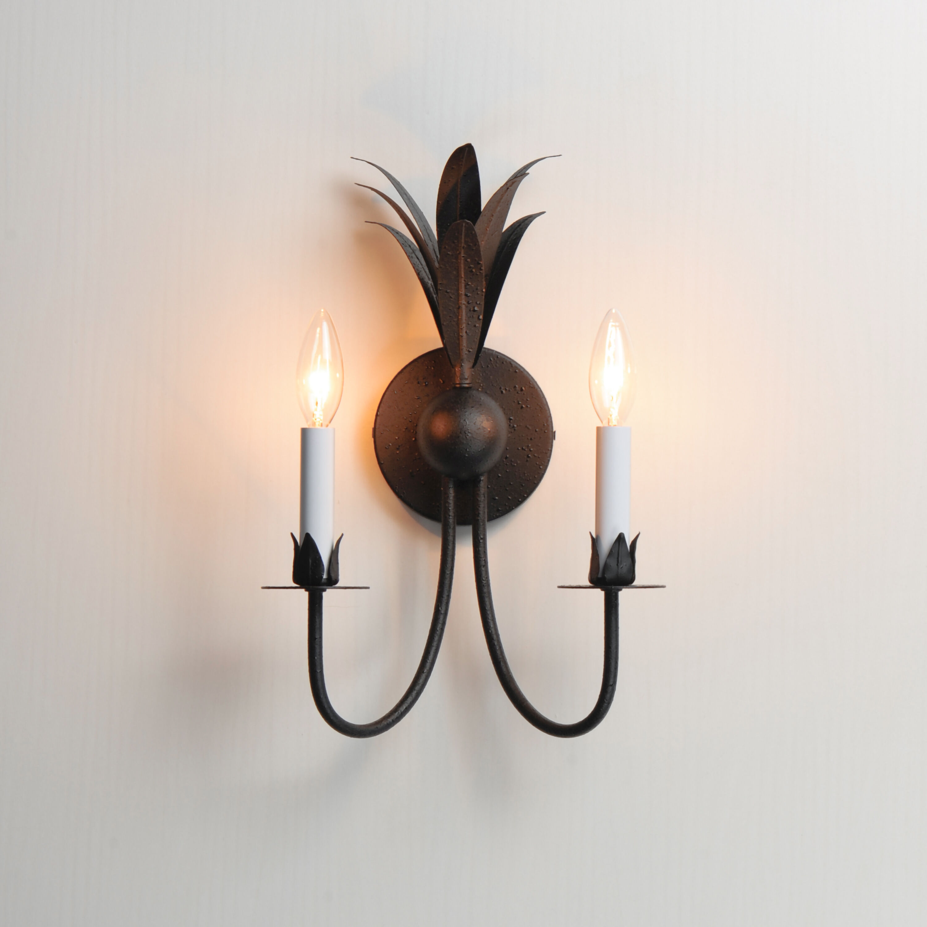 Paloma 2 Light 10.25 inch Anthracite Wall Sconce Wall Light