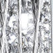 Terra LED 6 inch Chrome Wall Sconce Wall Light