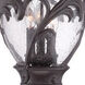 Capri 3 Light 11.75 inch Black Coral Exterior Hanging Lantern