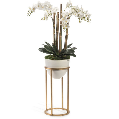 Leah Decorative Orchid