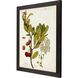 Florals Collection Green Framed Art