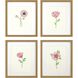 Florals Collection Pink Framed Art