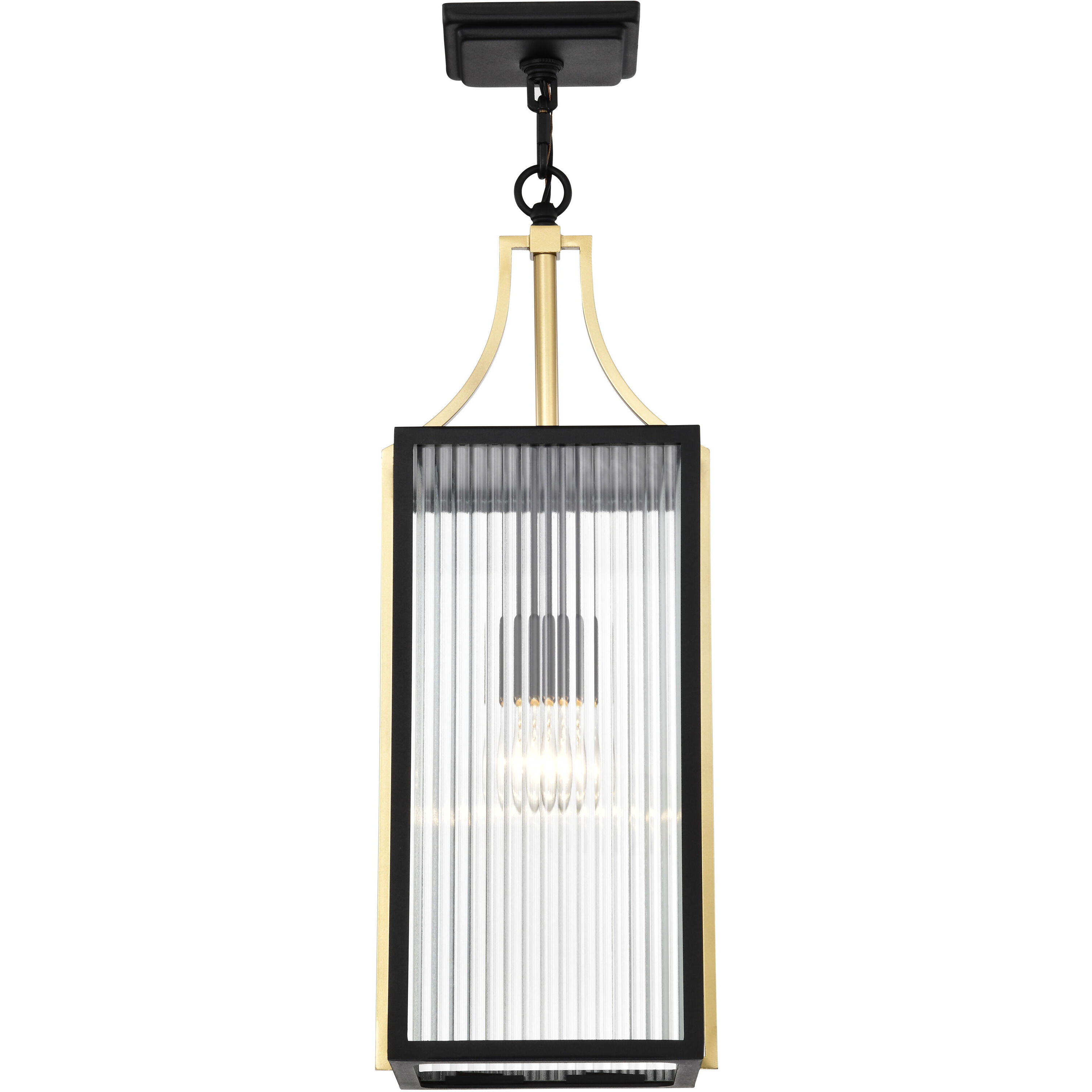 Holden 8.5 inch Black and Gold Outdoor Hanging Light