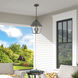 Wentworth 2 Light 9 inch Charcoal Outdoor Pendant Lantern, Medium
