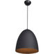 Liberty LED 12 inch Matte Black Outer and Matte Gold Inner Pendant Ceiling Light
