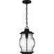 Luther 1 Light 9 inch Earth Black Outdoor Hanging Lantern, Large