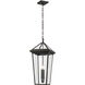 Regence 2 Light 11.5 inch Olde Bronze Outdoor Hanging Pendant