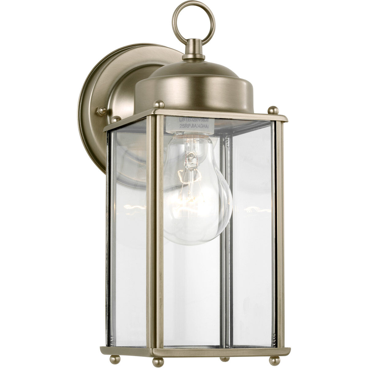New Castle 1 Light 10.25 inch Antique Brushed Nickel Outdoor Wall Lantern, Large