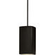 Radiance Collection LED 6 inch Carbon Matte Black with Brushed Nickel Pendant Ceiling Light