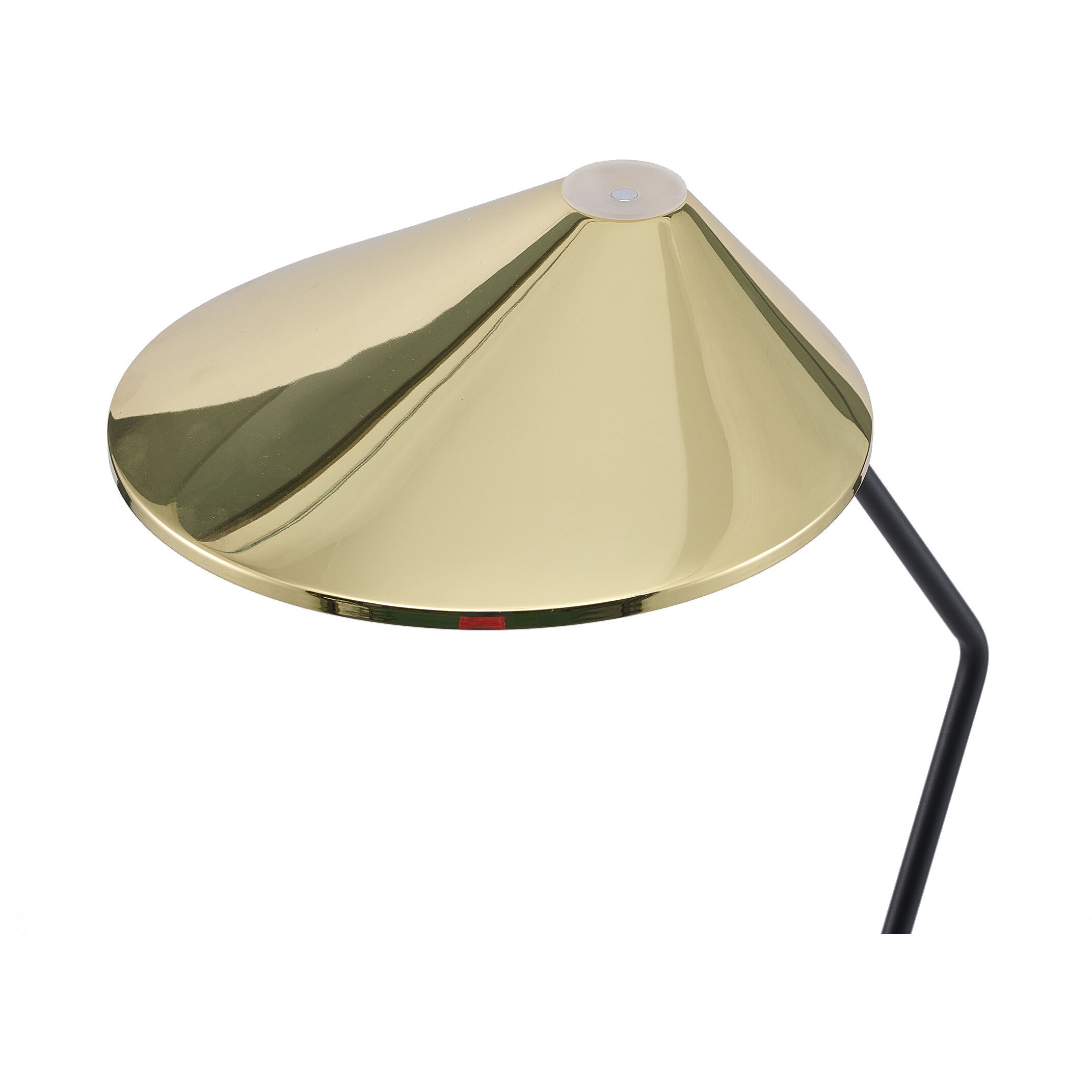 Canada 55 inch 11 watt Black & Stain Brass Floor Lamp Portable Light