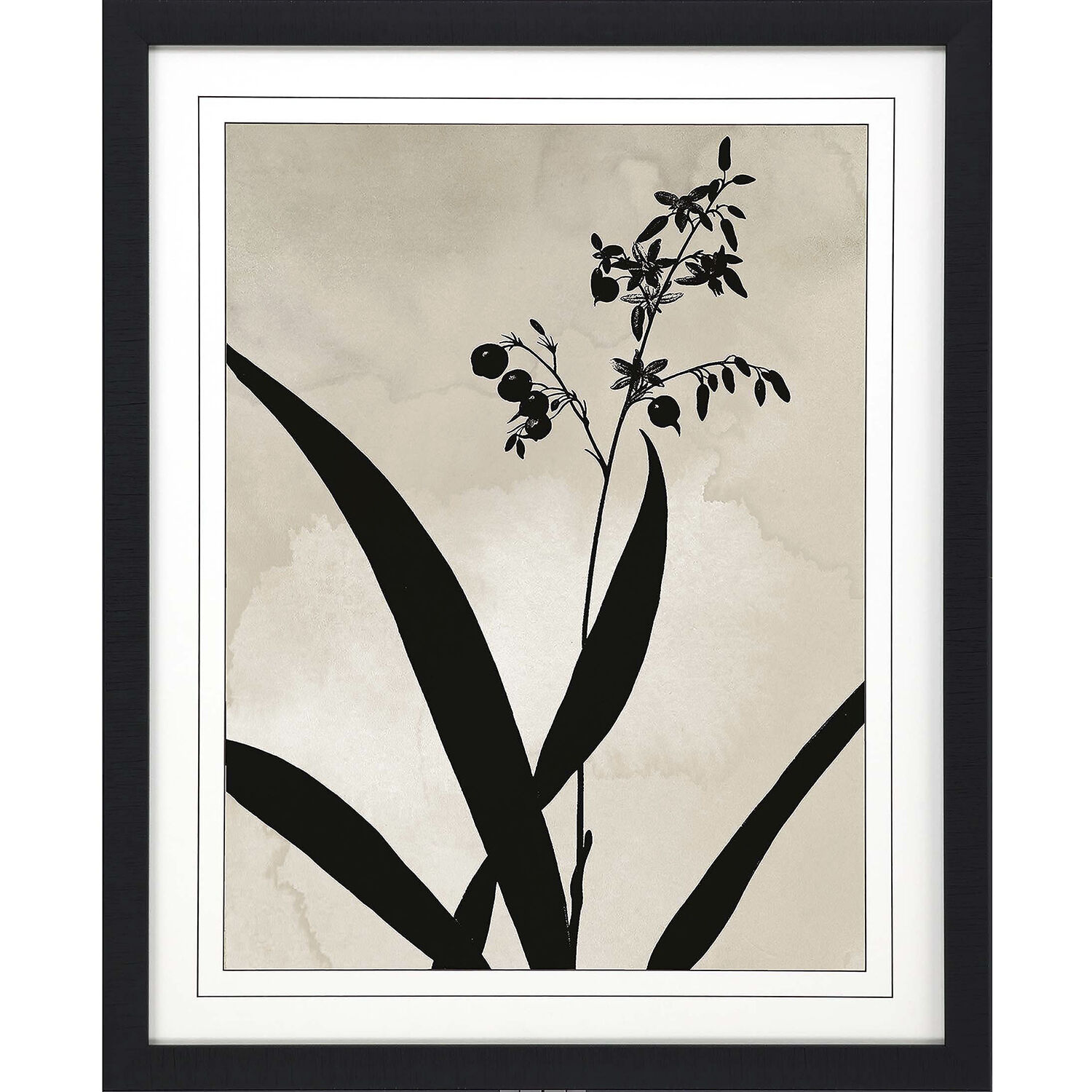Dianella Muscari Black and Beige Framed Art