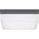 Sean Lavin Boxie LED 2.5 inch Charcoal Outdoor Wall/Flush Mount in LED 90 CRI 3000K 120V, Integrated LED