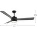 Axion II Indoor Ceiling Fan