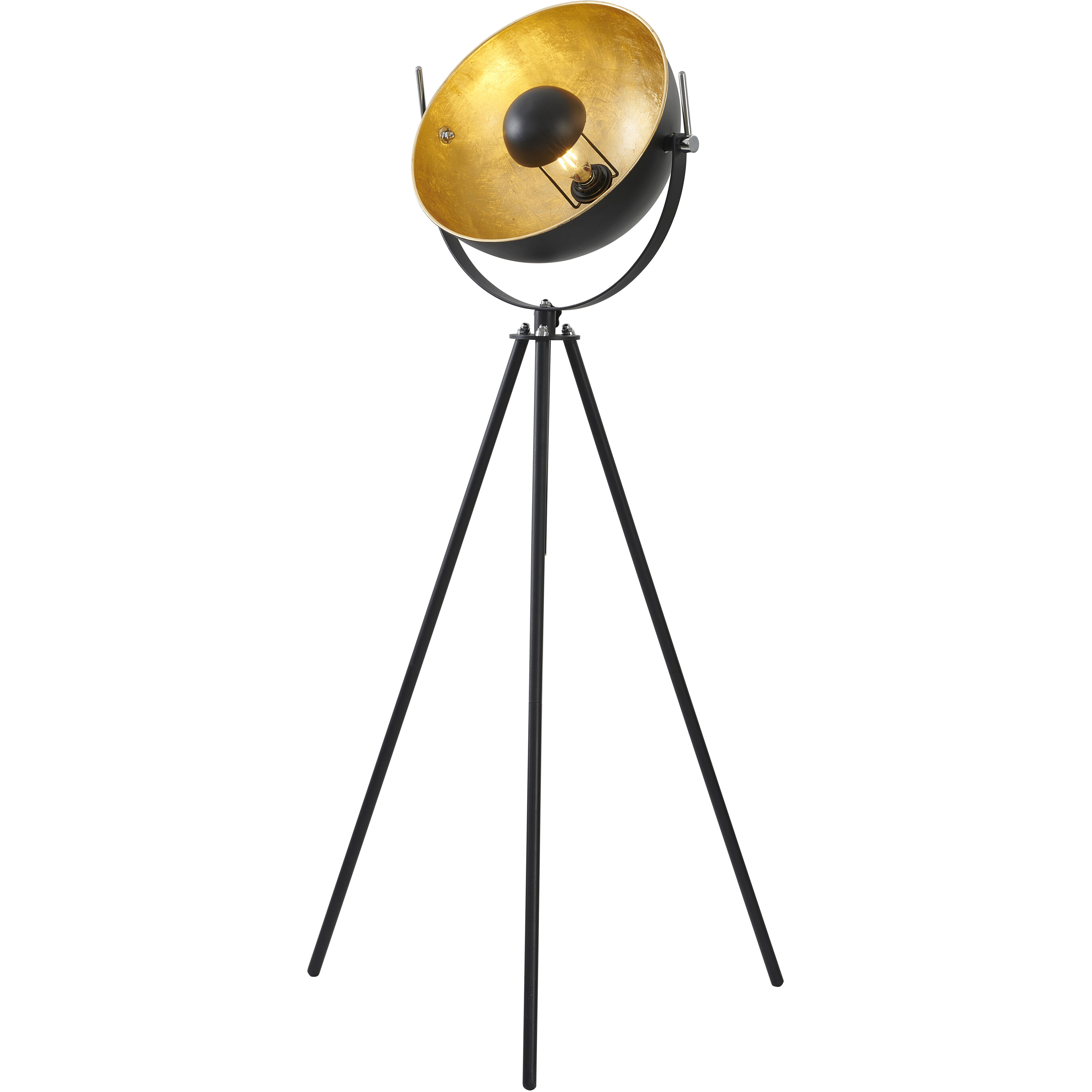 Canada 70 inch 100.00 watt Black Floor Lamp Portable Light