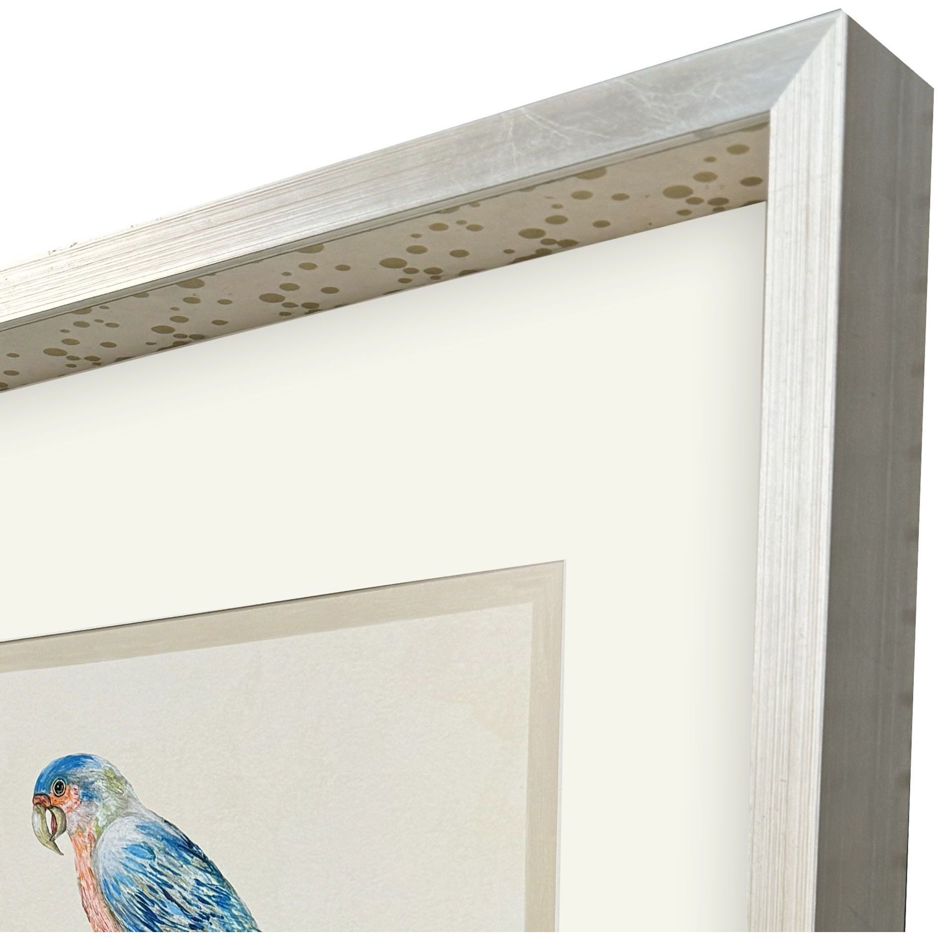 Treasure Parrot Blue and Green and Multi and Yellow Framed Art