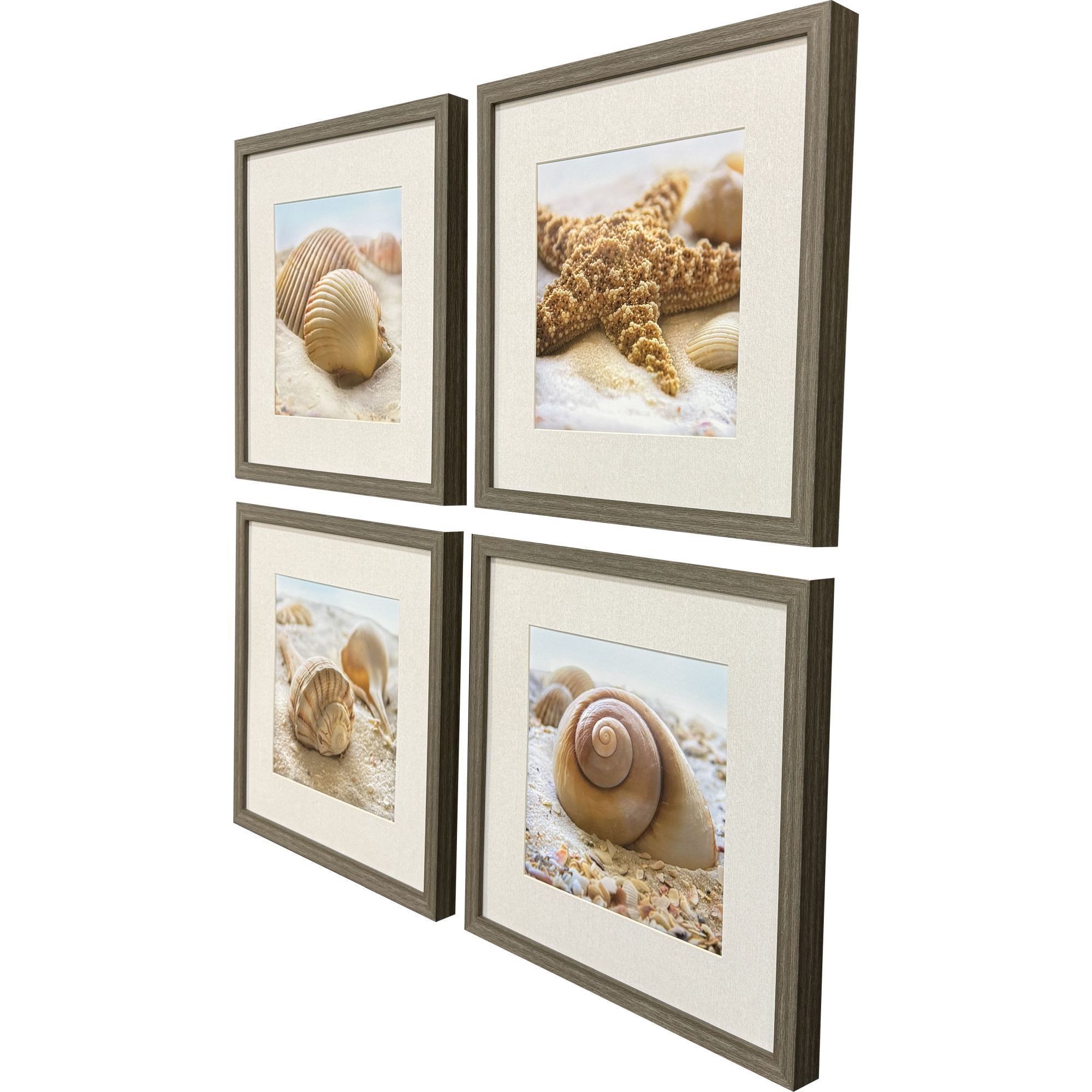 Beachy Shells Brown and Beige and Blue and Neutral Framed Art