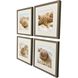 Beachy Shells Brown and Beige and Blue and Neutral Framed Art