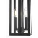 Thayer 2 Light 9 inch Black Outdoor Pendant