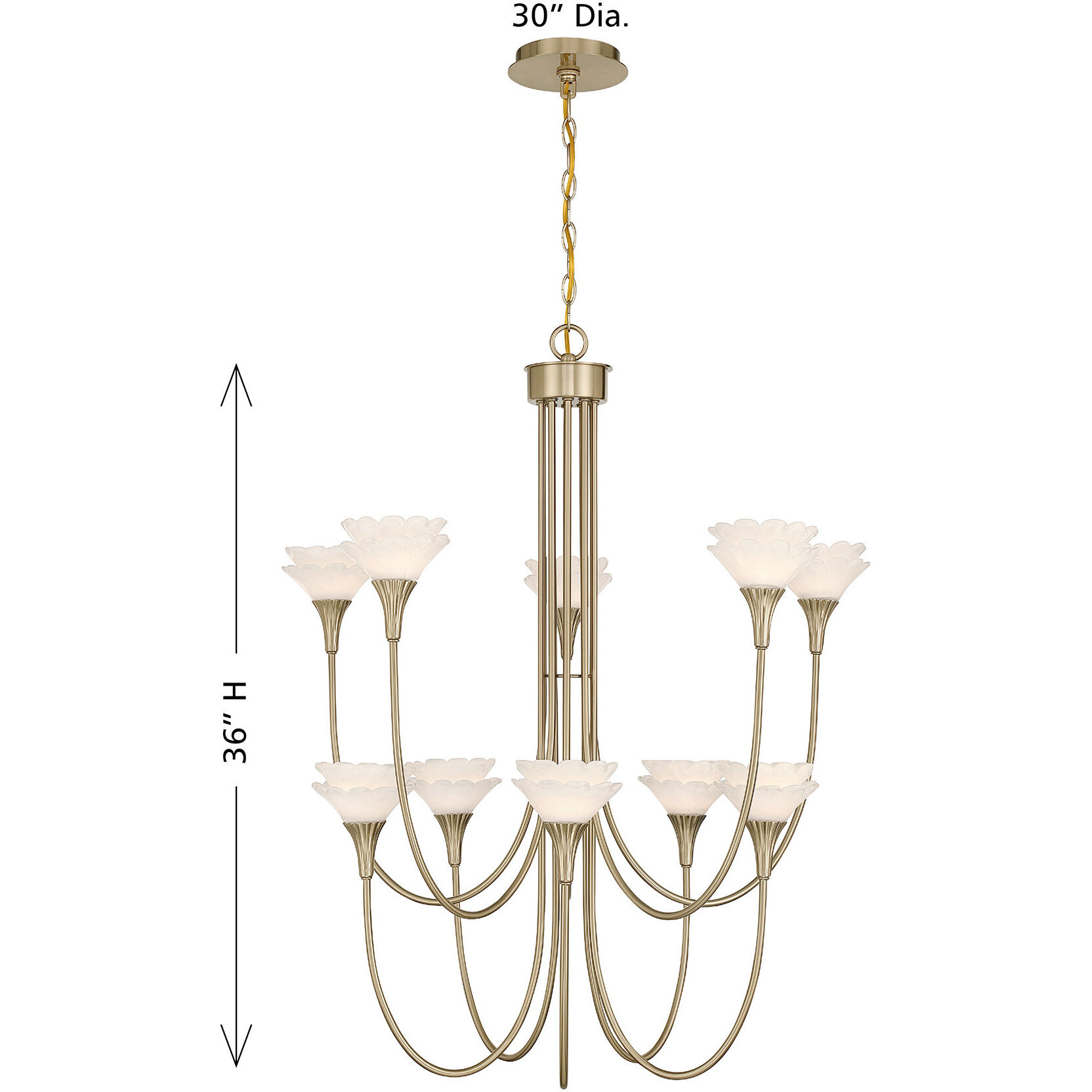 Florena 10 Light 30 inch Noble Brass Chandelier Ceiling Light