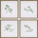 Culinary Collection Green Framed Art