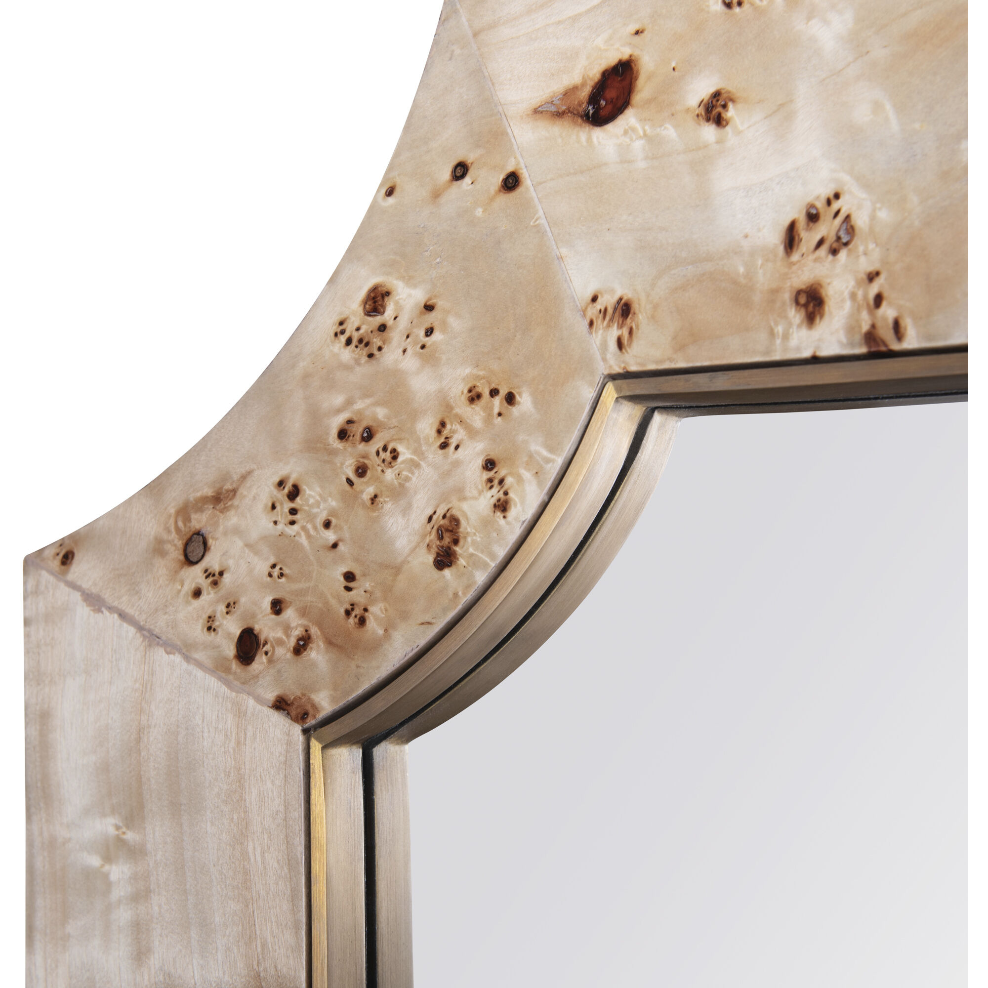 Farra 44 X 26 inch Poplar Burl with Weathered Brass Wall Mirror
