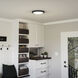 Verge 16 inch Earth Black Flush Mount Ceiling Light