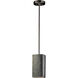 Radiance Collection LED 5.5 inch Hammered Brass and Brushed Nickel Pendant Ceiling Light, Form+Finish+Function