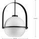 Delayne 1 Light 16 inch Matte Black Pendant Ceiling Light