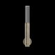 Antonia Wall Sconce Wall Light in Gold