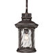 Chimera 1 Light 23 inch Imperial Bronze Outdoor Wall Lantern