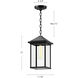 Alora Mood Larchmont 1 Light 7.88 inch Clear Glass/Textured Black Exterior Pendant